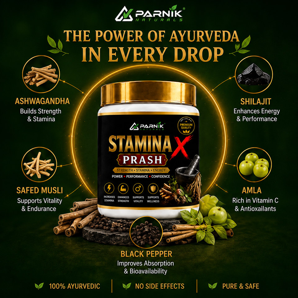Parnik Naturals Stamina X Prash 500g – Ayurvedic Herbal Wellness Supplement for Men